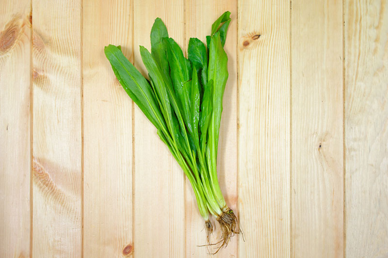 ผักชีฝรั่ง