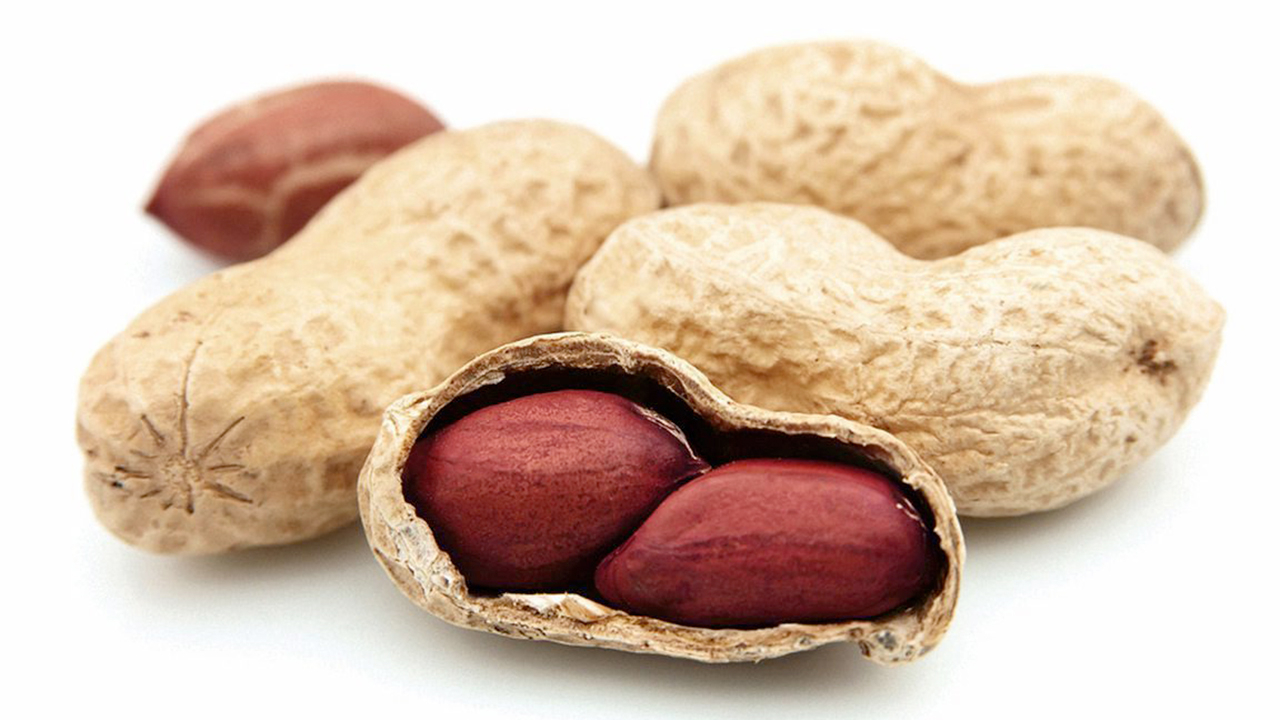 ถั่วลิสง