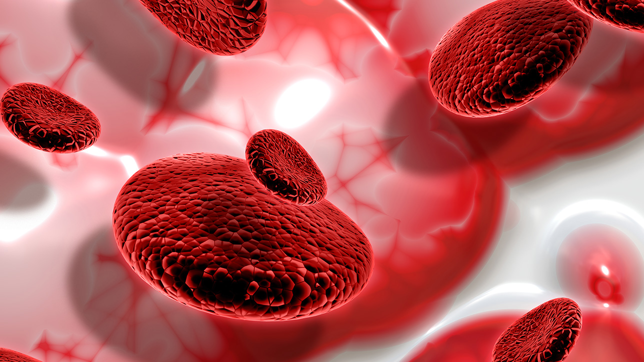 มะเร็งเม็ดเลือดขาว